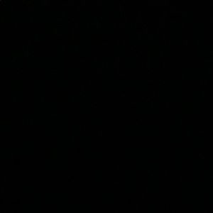 Meet your Posher, Benjamin